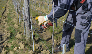 Travail avec des gants fabriqués par Peaucéros